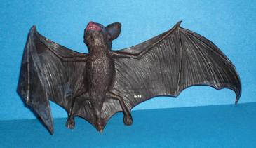 braune Fledermaus