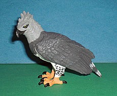Harpie