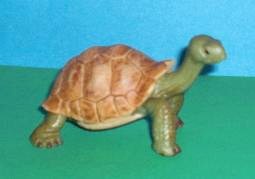 Landschildkröte
