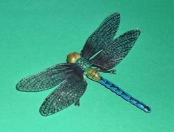 Libelle