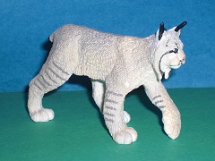 Luchs