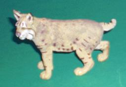 Luchs