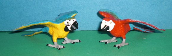 Macaw Papageien