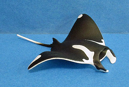Manta