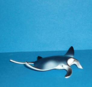 Manta