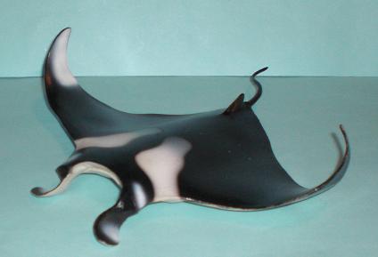 Manta