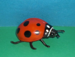 Marienkäfer