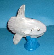 Mondfisch