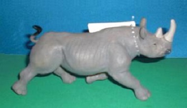 Spitzmaulnashorn