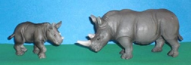 Spitzmaulnashorn mit Baby