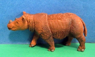 Sumatra Nashorn