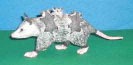 Opossum