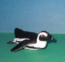Südafrikanischer Pinguin