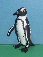Südafrikanischer Pinguin
