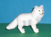 Polarfuchs