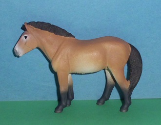 Przewalski Pferd