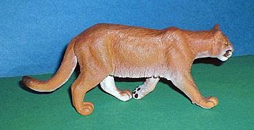 Puma
