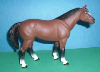 Quarter Horse 