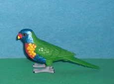 Regenbogenpapagei