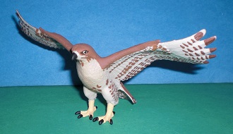 Rotschwanzbussard