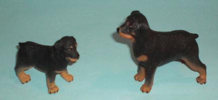 Rottweiler und Baby