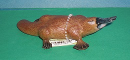 Schnabeltier