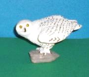 Schneeeule