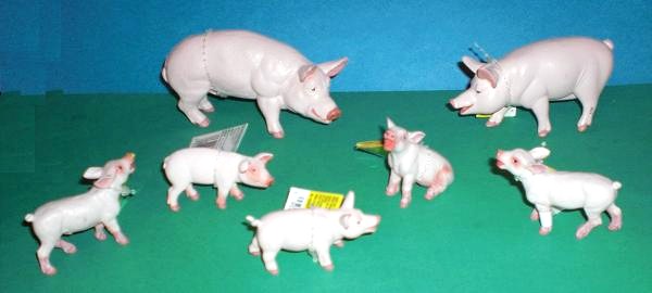 Schweinefamilie