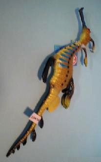 Seedrachenfisch