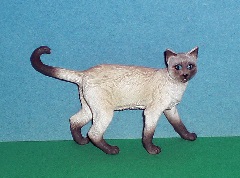 Siamkatze