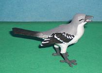 Spottdrossel