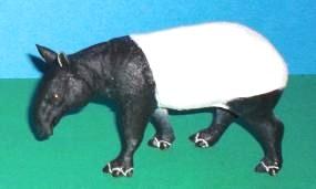 Tapir