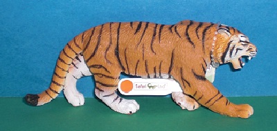 Bengal Tiger
