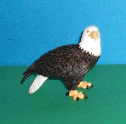 Weisskopfseeadler
