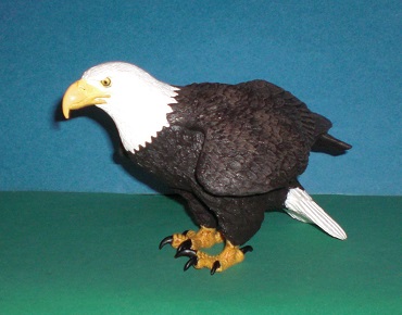 Weisskopfseeadler