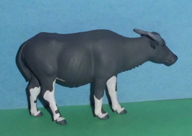 Wasserbüffel