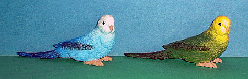 blauer und grner Wellensittiche