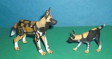 Wildhund+Baby