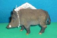 Wildschwein