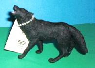 schwarzer Wolf