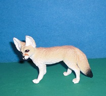 Wüstenfuchs"