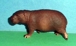 Zwerflusspferd