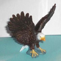 Weisskopfseeadler