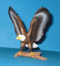 Weisskopfseeadler