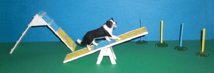 Agility mit Bordercollie