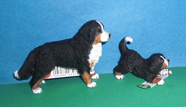 Berner Sennhundfamilie