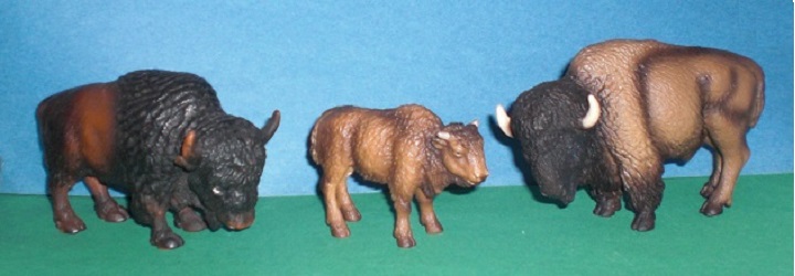 Bisons