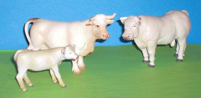 Charolais Kuhfamilie