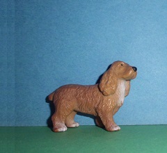 Cocker Spaniel