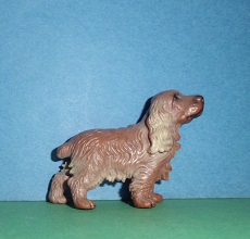 Cocker Spaniel